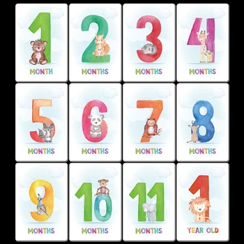Baby Moment Cards Landmark Memory Milestone Photo Cards & Pregnancy & Age Marker 40JC