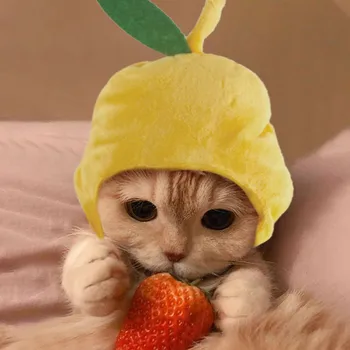  Cat Hat Cute Fun Pear Shape Инновационная мягкая удобная плюшевая шляпа для домашних животных Dress Up для вечеринки Фотосессия