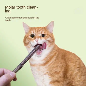 Fun Pet Cat Палочка для прорезывания зубов Натуральное дерево для помощи пищеварению Чистые зубы Скрежетание дыханием Свежая кошка Дразнящая палочка Семейные игрушки