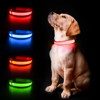 USB зарядка деньги Кольцо светодиодное Ночной ремешок для домашних животных Крутой ошейник для собак Загорается прочные плоские оптические волокна в безопасности в темноте