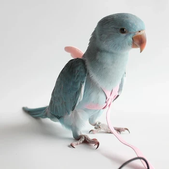 Набор шлейки и поводка для попугаев Регулируемая веревка для полета на открытом воздухе с крылом для маленьких и средних птиц Корелла Ара Волнистый попугай